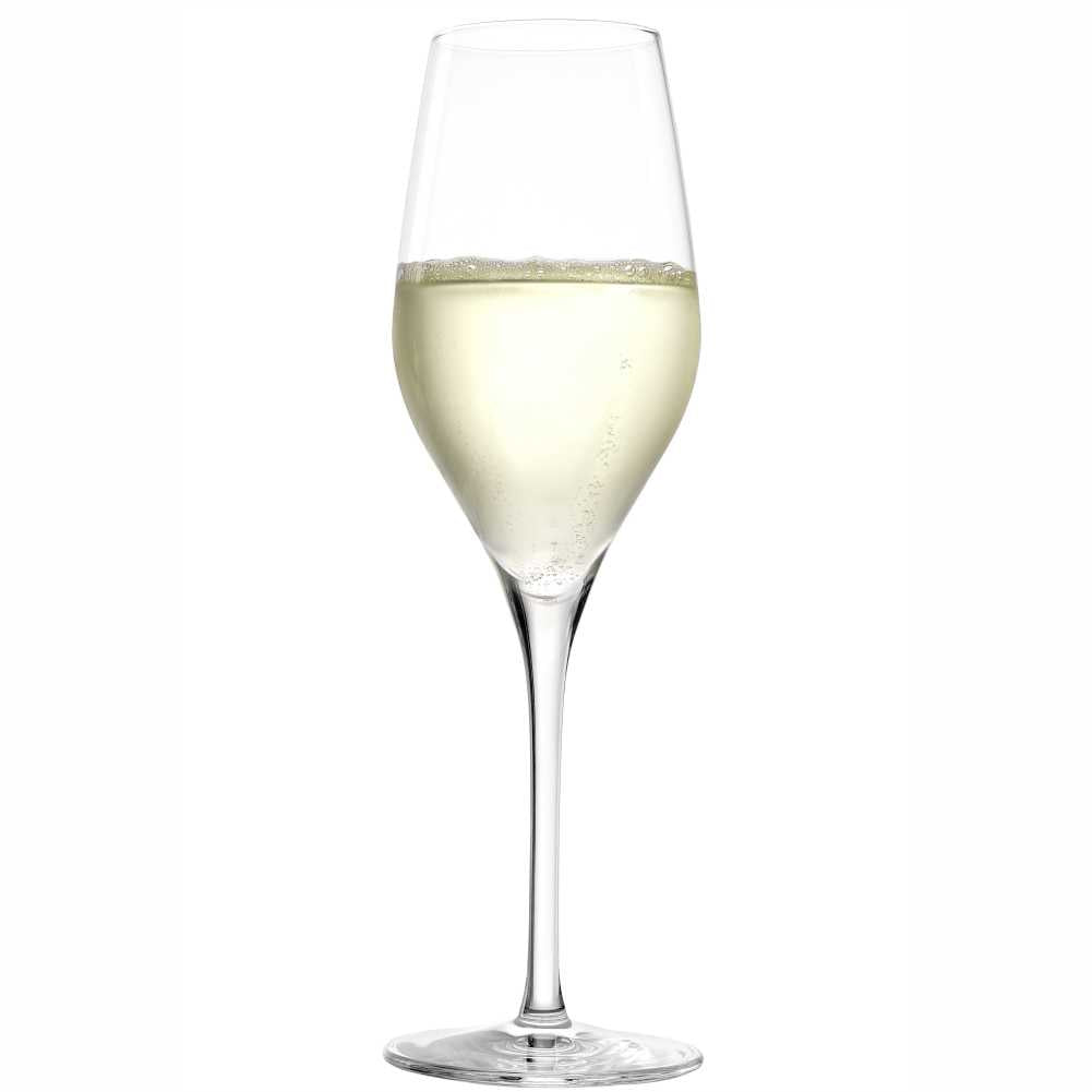 Exquisit Champagne 9 oz - Set of 6
