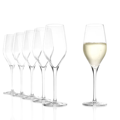 Exquisit Champagne 9 oz - Set of 6