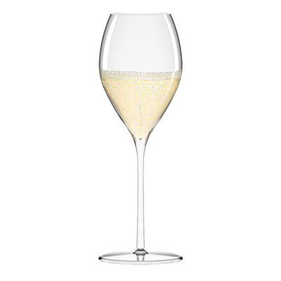 Fino Champagne Glass 14 ¼ oz - Set of 6
