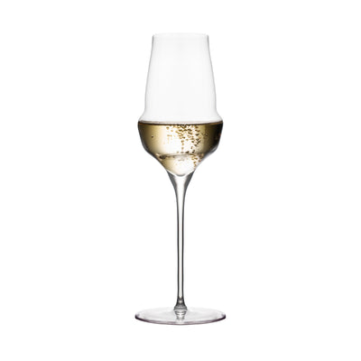 Cocoon Champagne Flute 11½ oz - Set of 6