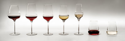 Cocoon Champagne Flute 11½ oz - Set of 6