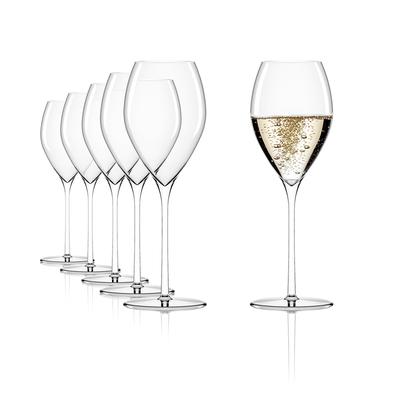 Fino Champagne Glass 14 ¼ oz - Set of 6