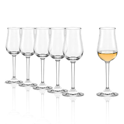 Professional Liqueur Glass 4 oz - Set of 6