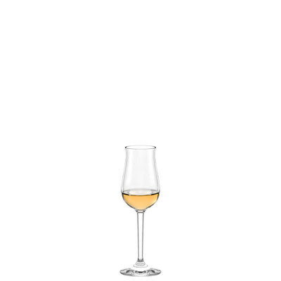 Professional Liqueur Glass 4 oz - Set of 6