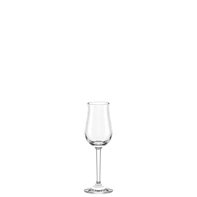 Professional Liqueur Glass 4 oz - Set of 6
