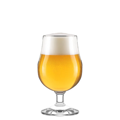 Berlin Beer Glass 14 oz - Set of 6