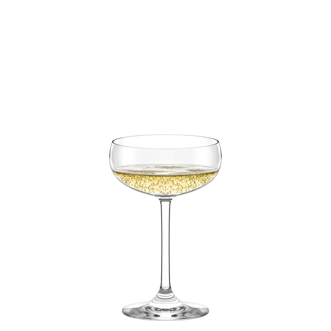 Champagne Saucer 7 3⁄4 oz - Set of 6 – Stölzle Glassware