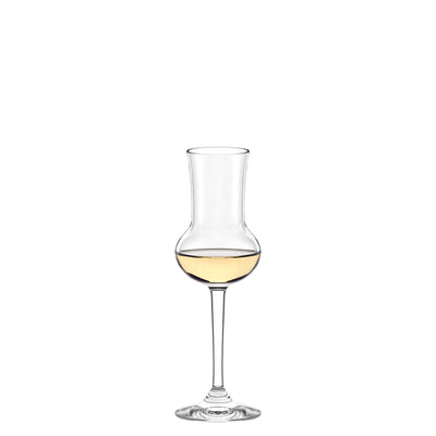 Professional Grappa Tasting Glass 3 oz - Set of 6
