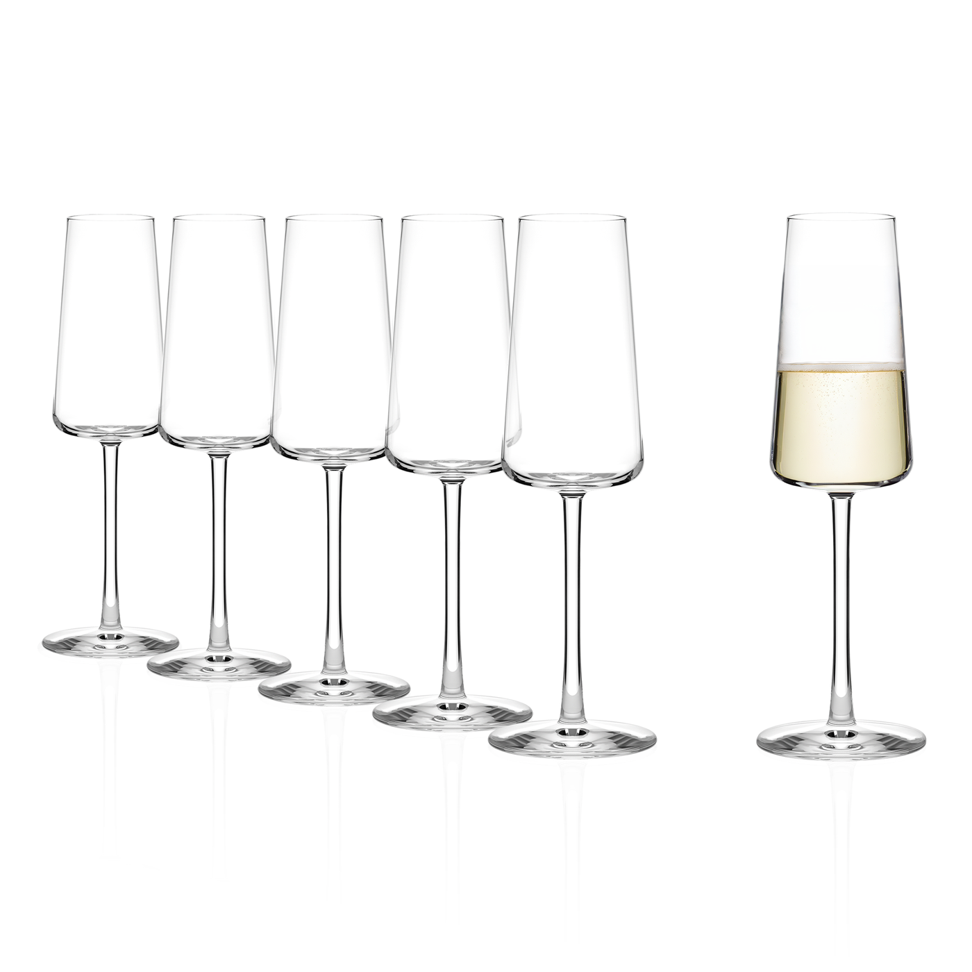 Power Champagne Flute 8 oz - Set of 6