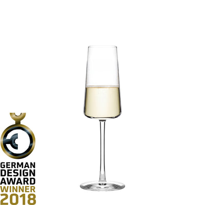 Power Champagne Flute 8 oz - Set of 6